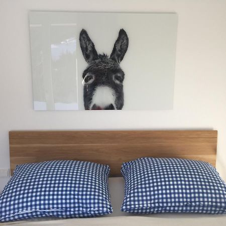 Exklusive Ferienwohnung Am Prielerweg In ヒンターシュトダー エクステリア 写真