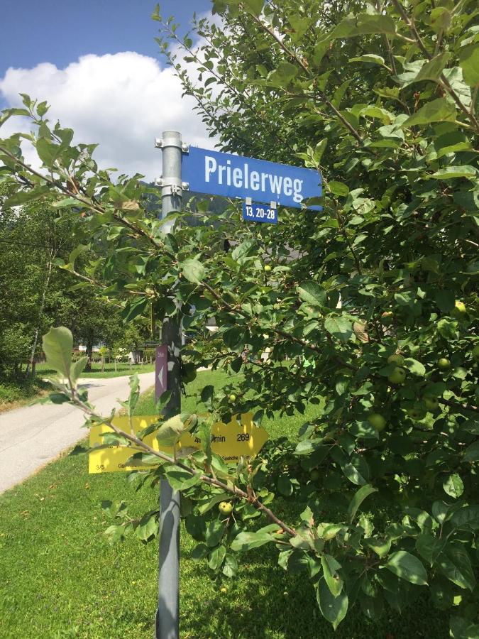 Exklusive Ferienwohnung Am Prielerweg In ヒンターシュトダー エクステリア 写真